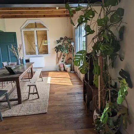 Holiday home Mon Repos *
